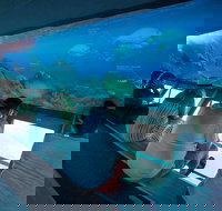 Great Barrier Reef Day Cruise to Reefworld - Accommodation Newcastle