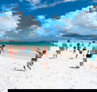 Whitehaven Beach and Hamilton Island Cruise - Accommodation Newcastle