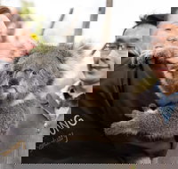 Bonorong Wildlife Park and Richmond Afternoon Tour from Hobart - Accommodation Newcastle