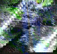 Mt Field National Park and Russell Falls from Hobart - Accommodation Newcastle