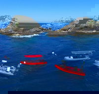 3-Hour Byron Bay Certified Scuba Diving Tour - Accommodation Newcastle