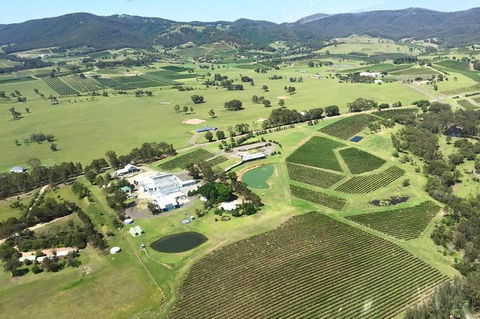 Helicopter Tour Of Hunter Valley In New South Wales With Lunch - Accommodation Newcastle 4