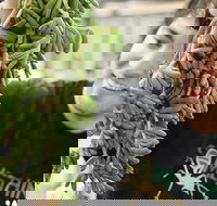 Small-Group Adelaide Central Market Early Breakfast Tour - Accommodation Newcastle