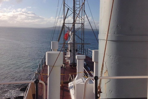Albany's Whale Story - Accommodation Newcastle 2