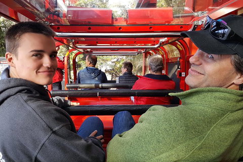 Fully Inclusive Blue Mountains Private Tour Inc Scenic World & Featherdale Entry - Accommodation Newcastle 1