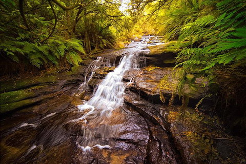 Fully Inclusive Blue Mountains Private Tour Inc Scenic World & Featherdale Entry - Accommodation Newcastle 3