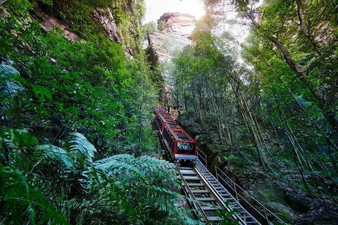 Fully Inclusive Blue Mountains Private Tour Inc Scenic World & Featherdale Entry - Accommodation Newcastle 4