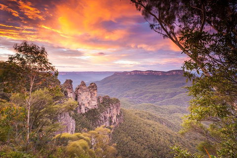 Fully Inclusive Blue Mountains Private Tour Inc Scenic World & Featherdale Entry - Accommodation Newcastle 5