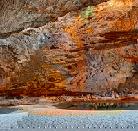 Bungle Bungle Explorer - Accommodation Newcastle