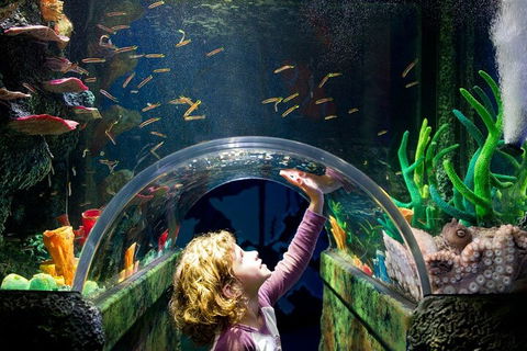 Melbourne BIG Ticket - LEGOLAND Discovery And SEA LIFE Melbourne - Accommodation Newcastle 2