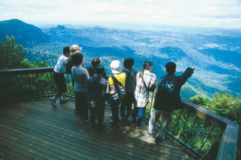 Springbrook National Park & Gold Coast Full Day Luxury Tour From Brisbane - Accommodation Newcastle 0