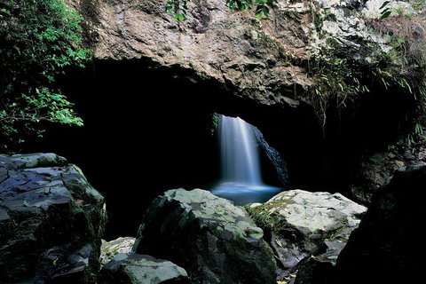 Springbrook National Park & Gold Coast Full Day Luxury Tour From Brisbane - Accommodation Newcastle 2