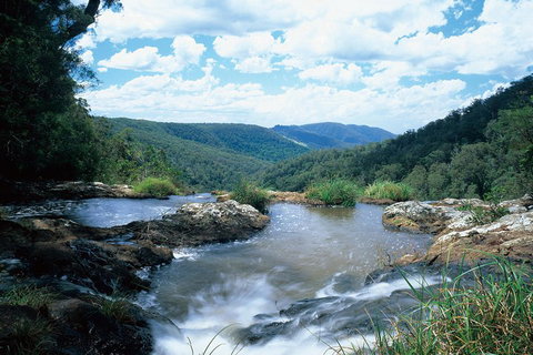 Springbrook National Park & Gold Coast Full Day Luxury Tour From Brisbane - Accommodation Newcastle 3