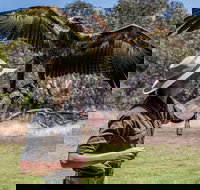 One Day Kangaroo Island Sip  See tour with return ferry transfers from Adelaide - Accommodation Newcastle