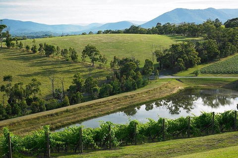 Yarra Valley Wine And Cider Tours By Classic Convertibles From Melbourne - Accommodation Newcastle 1