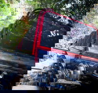 Blue Mountains Hop-on Hop-off Tour with Optional Scenic World Rides - Accommodation Newcastle