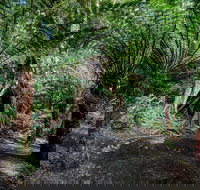 Adelaide to Melbourne 3-Day Trip through Grampians and Great Ocean Road - Accommodation Newcastle