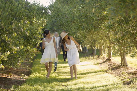 Yarra Valley Wine Tour With Local Harvest Tastings From Melbourne - Accommodation Newcastle 0
