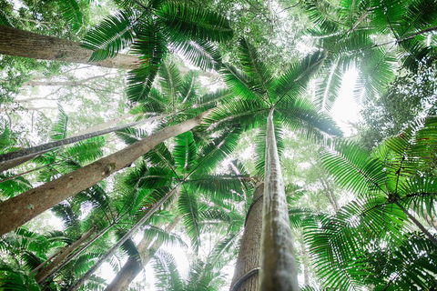 Fraser Explorer K'gari 2-Day Tour - Accommodation Newcastle 2