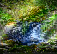 Day Tour in Mt. Field Mt. Wellington Bonorong Wildlife Sanctuary and Richmond - Accommodation Newcastle