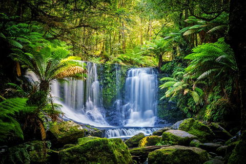 Day Tour In Mt. Field, Mt. Wellington, Bonorong Wildlife Sanctuary And Richmond - Accommodation Newcastle 0