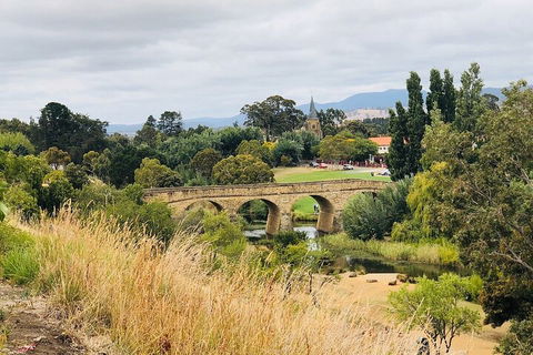 Day Tour In Mt. Field, Mt. Wellington, Bonorong Wildlife Sanctuary And Richmond - Accommodation Newcastle 3