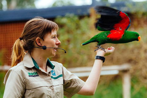 VIP Sanctuary Tour At Healesville Sanctuary Ticket - Accommodation Newcastle 0