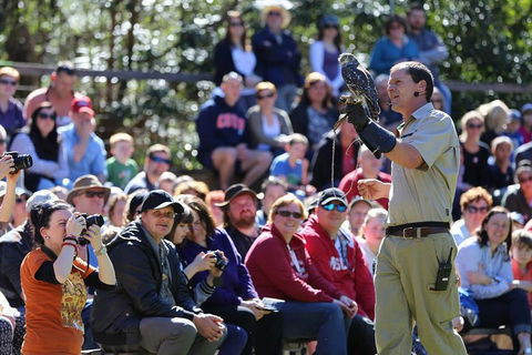 VIP Sanctuary Tour At Healesville Sanctuary Ticket - Accommodation Newcastle 4