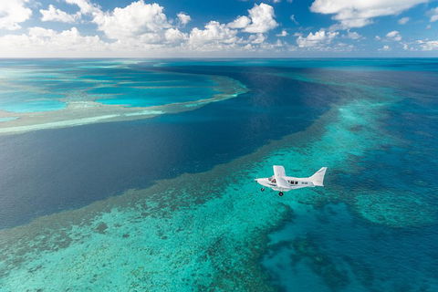Scenic Flight - Great Barrier Reef, Heart Reef, Whitehaven Beach & Hill Inlet! - Accommodation Newcastle 3