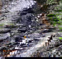 Full-Day Canyoning Experience at Stunning Empress Canyon - Accommodation Newcastle
