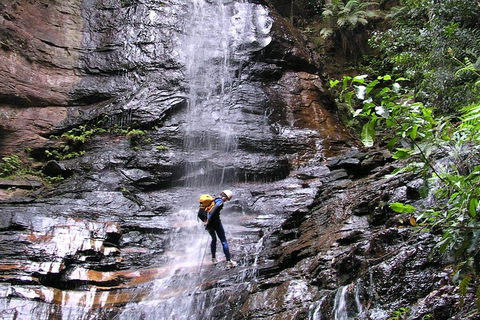 Full-Day Canyoning Experience At Stunning Empress Canyon - Accommodation Newcastle 0