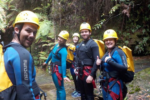 Full-Day Canyoning Experience At Stunning Empress Canyon - Accommodation Newcastle 1