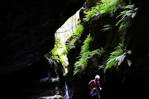 Full-Day Canyoning Experience At Stunning Empress Canyon - Accommodation Newcastle 2