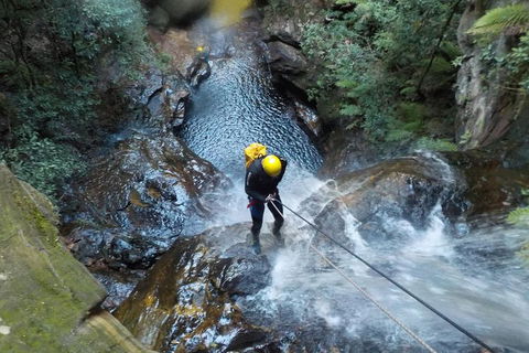 Full-Day Canyoning Experience At Stunning Empress Canyon - Accommodation Newcastle 4