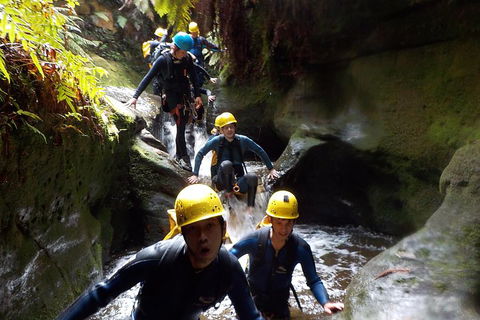 Full-Day Canyoning Experience At Stunning Empress Canyon - Accommodation Newcastle 5