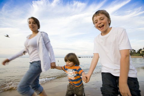 Phillip Island Penguin And Koala Highlights Day-Trip From Melbourne - Accommodation Newcastle 0