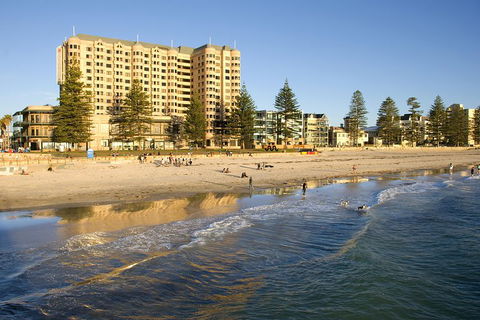 McLaren Vale And Glenelg Wine Tasting And Sightseeing (Half-day Afternoon) - Accommodation Newcastle 3
