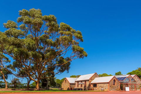 McLaren Vale And Glenelg Wine Tasting And Sightseeing (Half-day Afternoon) - Accommodation Newcastle 5