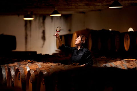 Seppeltsfield Centenary Tour - Accommodation Newcastle 3