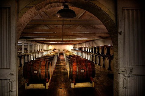 Seppeltsfield Centenary Tour - Accommodation Newcastle 4