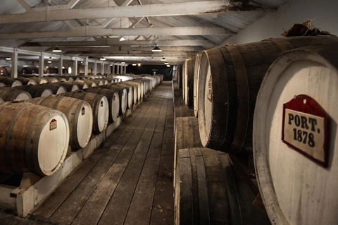 Seppeltsfield Centenary Tour - Accommodation Newcastle 5