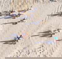 Unlimited Sandboarding - Accommodation Newcastle