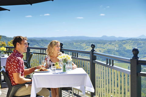 Sunshine Coast Hinterland Rainforest, Views And Montville Day Tour Inc. Lunch - Accommodation Newcastle 3
