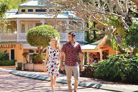 Sunshine Coast Hinterland Rainforest, Views And Montville Day Tour Inc. Lunch - Accommodation Newcastle 4