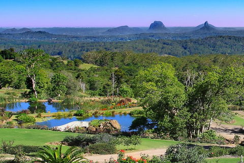 Sunshine Coast Hinterland Rainforest, Views And Montville Day Tour Inc. Lunch - Accommodation Newcastle 5