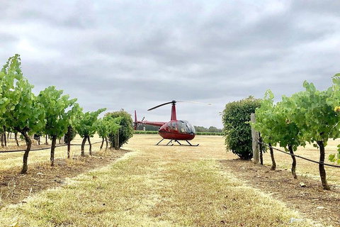 Private Helicopter Flight To Hunter Valley With A La Carte Lunch - For 2 - Accommodation Newcastle 4