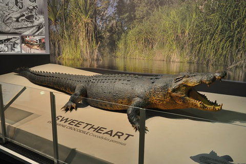 Explore Darwin City Sights Including Key Attractions - Accommodation Newcastle 2