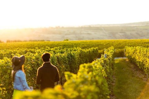 Margaret River Private Tour - Accommodation Newcastle 2