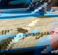 Torrens River Cruise in Adelaide - Accommodation Newcastle