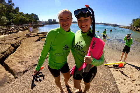 Manly Snorkel Trip And Nature Walk With Local Guide - Accommodation Newcastle 1